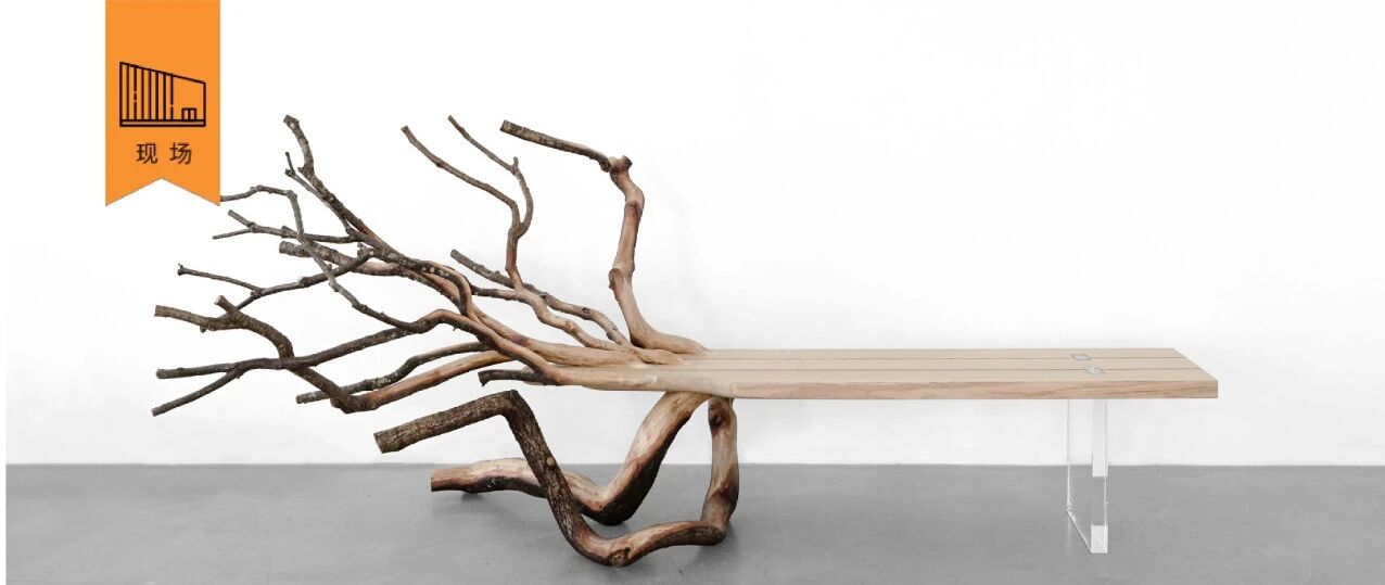 西岸美术馆特展首发：自然与人工交织的“奇幻屋”