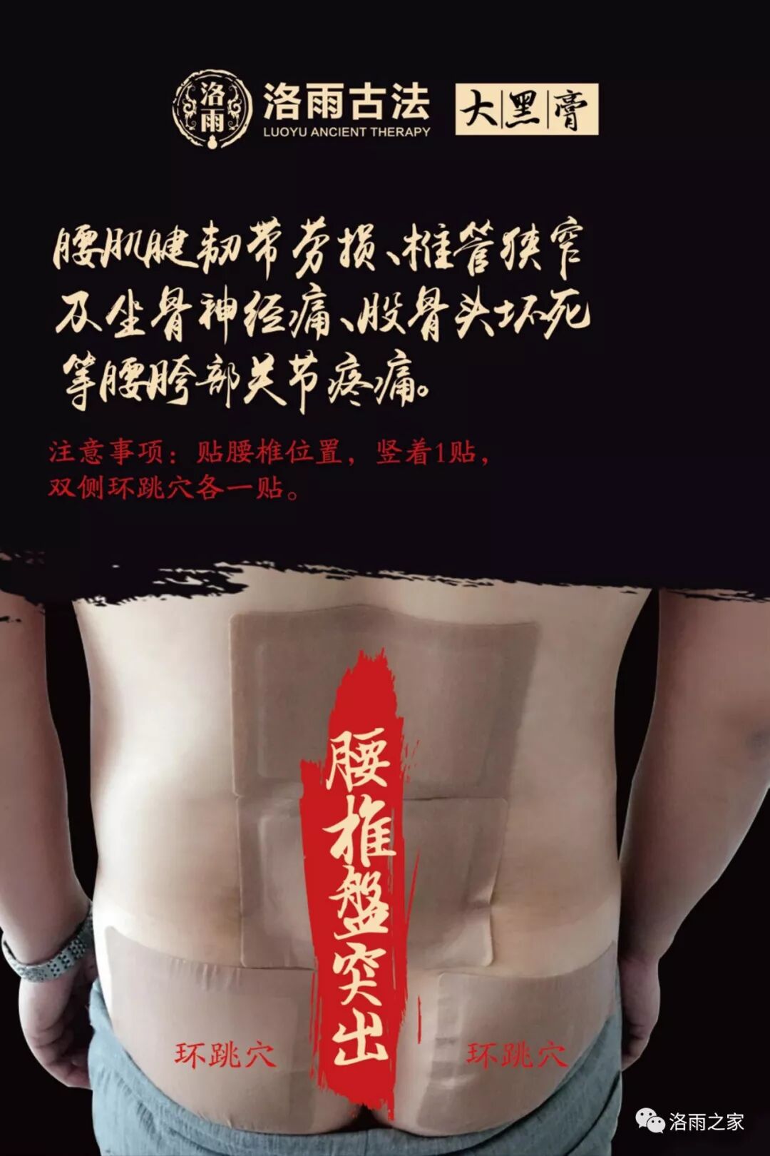 洛雨之家 洛雨大黑膏穴位图大全 这个必须收藏 洛雨之家 微信公众号文章阅读 Wemp