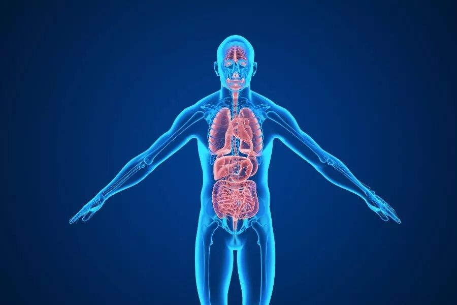 脾脏是女人的神，养好脾让你内外皆美‼️