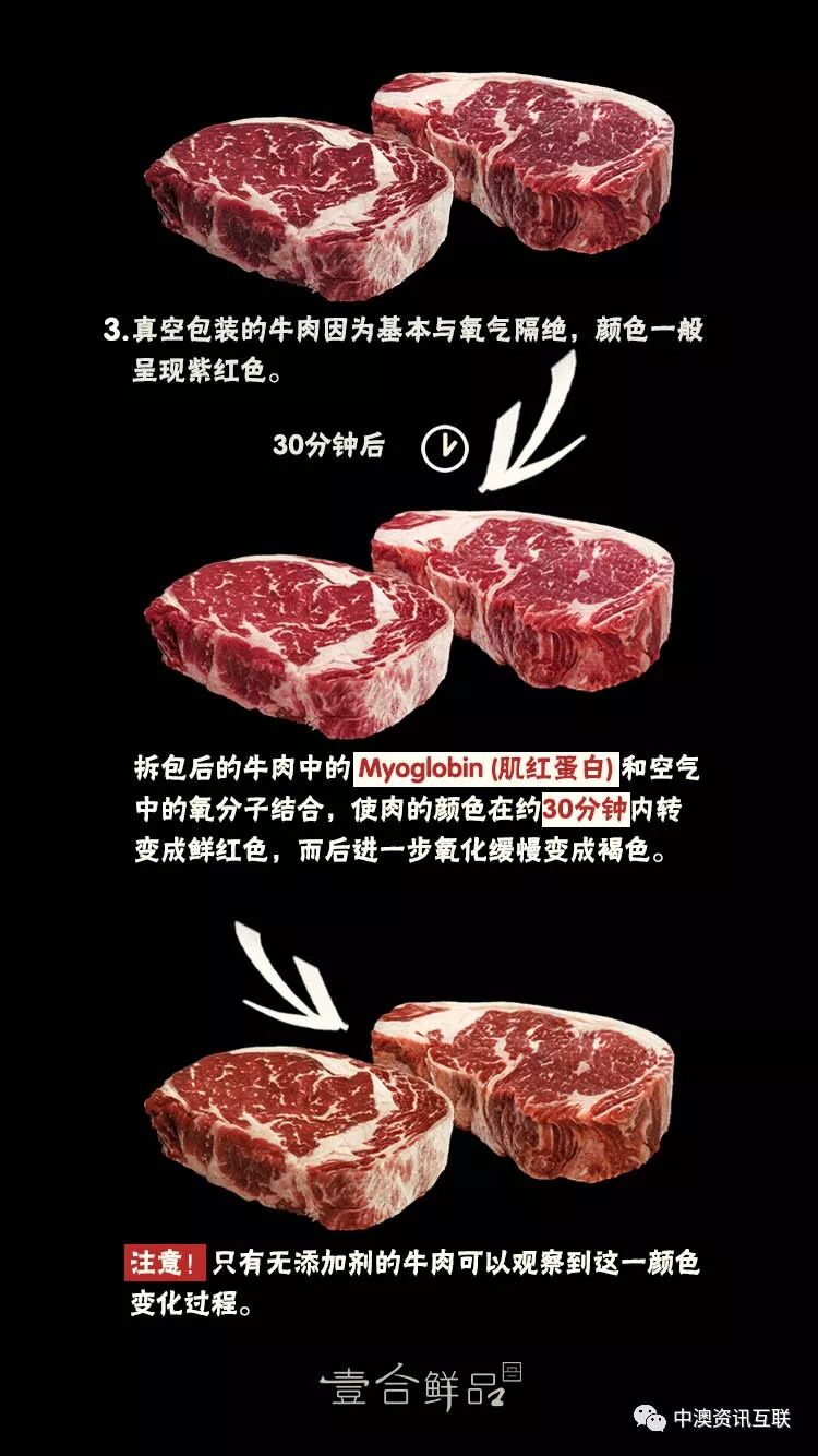 牛肉知识普及之草饲牛及营养 中澳资讯互联 微信公众号文章阅读 Wemp