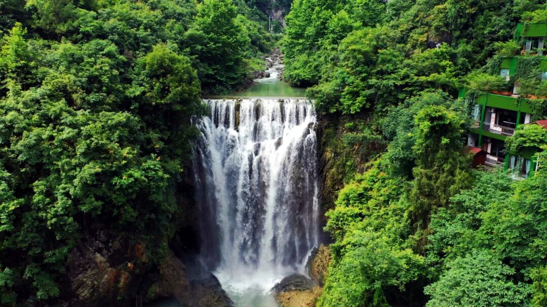来贵州上春山丨走到红果树景区寻春