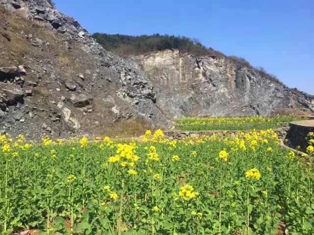 諸暨江藻特種兵一日遊