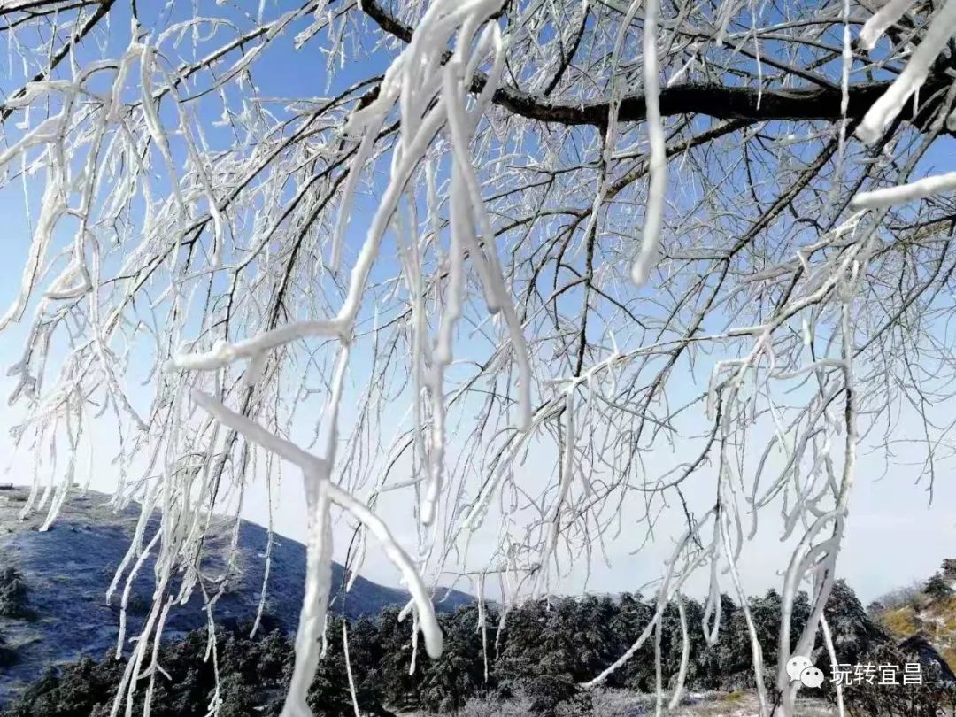 宜昌百里荒天气预报