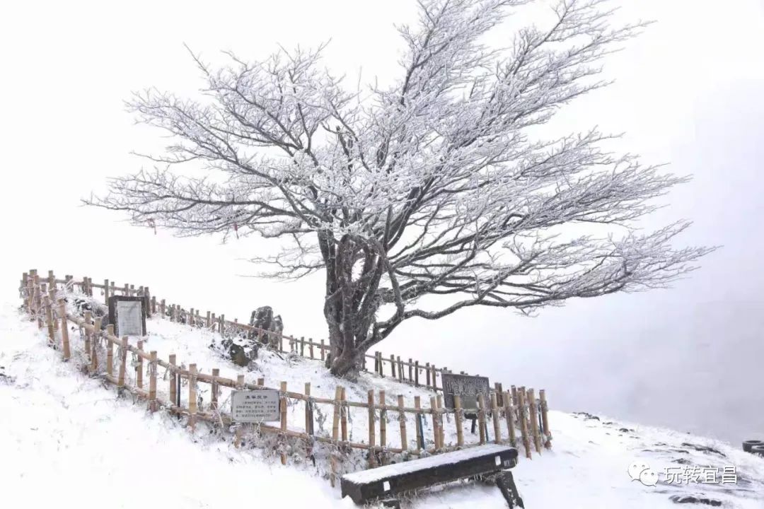 宜昌百里荒天气预报