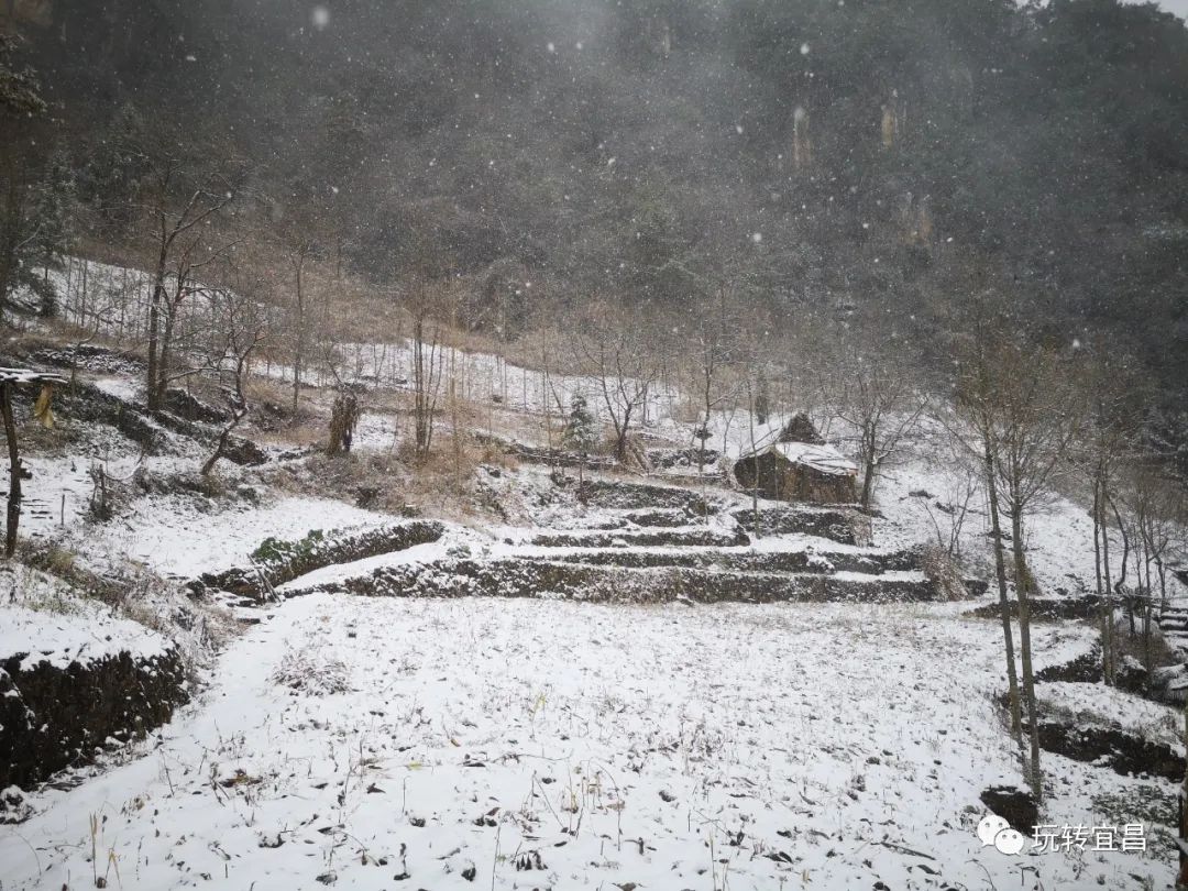 宜昌百里荒天气预报