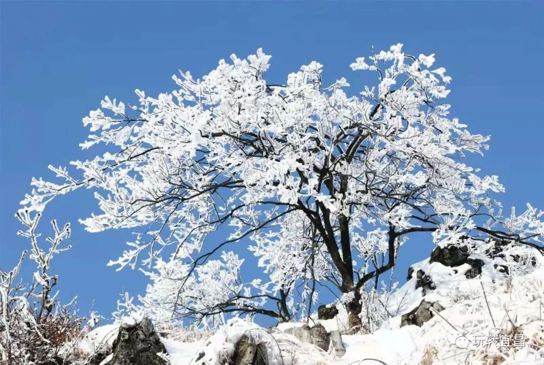 宜昌百里荒天气预报