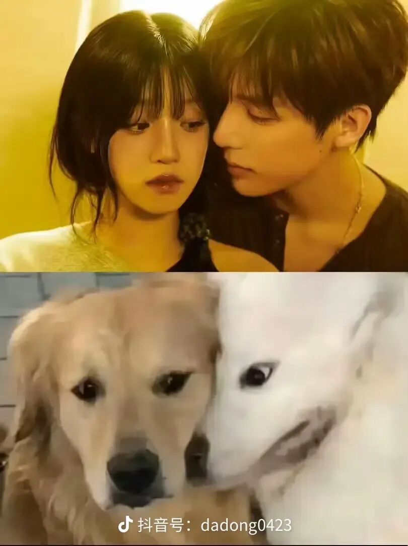宋雨琦王安宇互晒合照,王安宇/宋雨琦