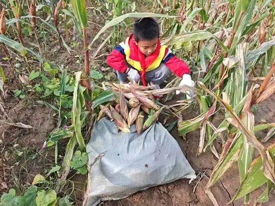 3914694ecad5ab36a342c52dde81b1a1