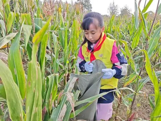 fd7b816d6e57c3333be0e8f5662db36d