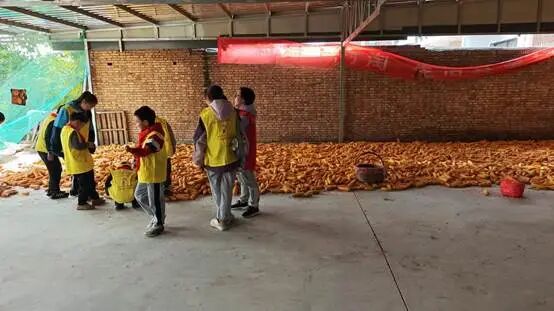 64297d9de67b3f1017cdc9871c2aca21