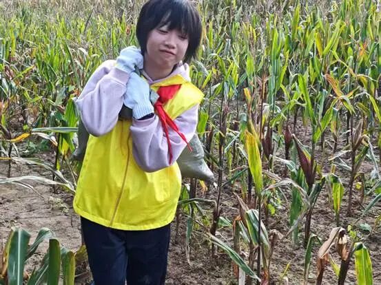 9a717561a49548549b058cfec910331f