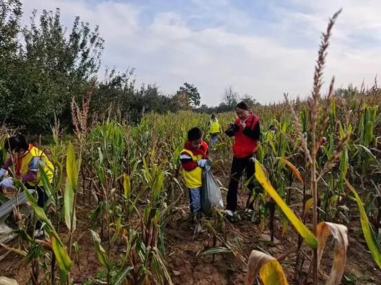 87733792ce9b0d501bf7cc04788fd52c