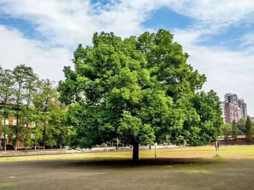 湖南同德职业学院和湖南应用学院_湖南工贸技师学院分数_湖南工程学院分数线