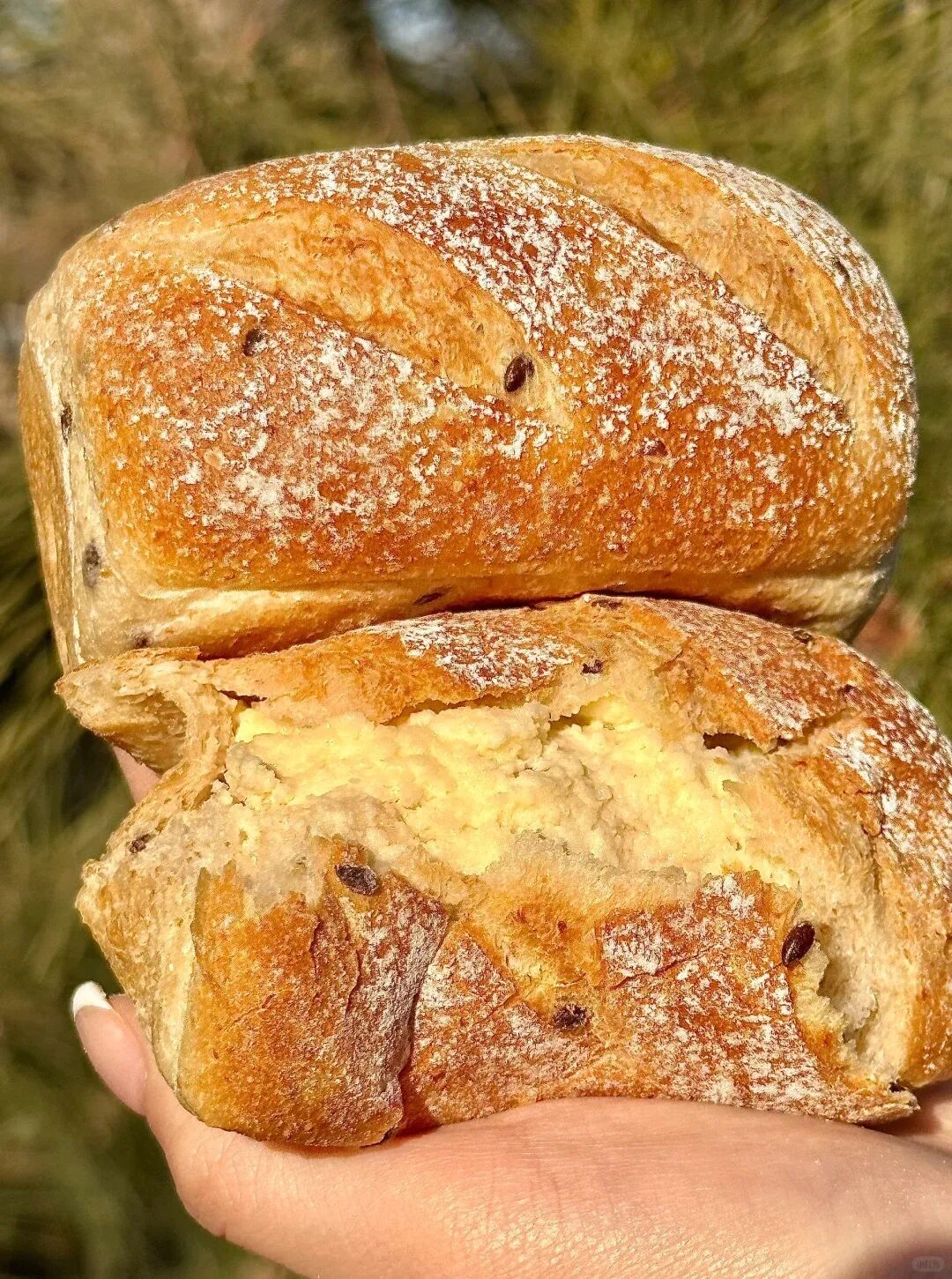 稻香村上新仟吉bc墨茉点心局kumokumo上新春季新品