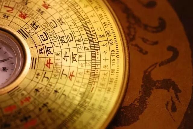 快看看你是什么鸟？