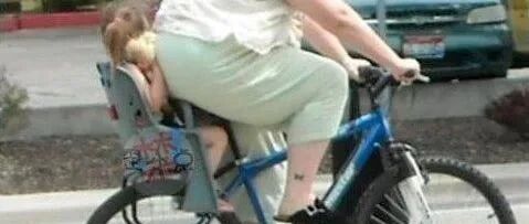 原来真的有大鹅~