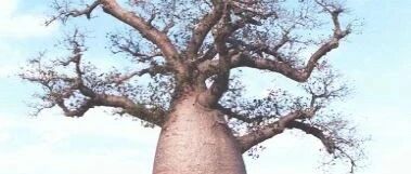 “她”成功的吸引了一批男士