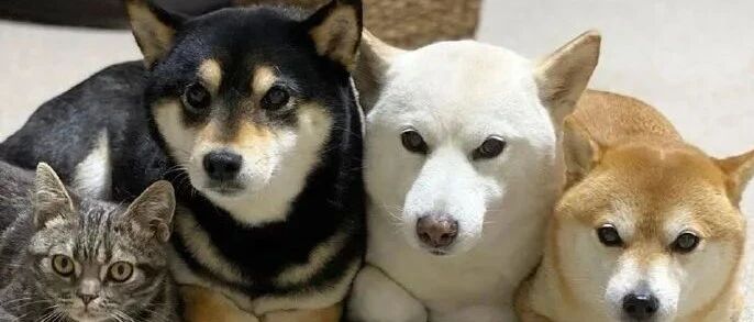 你知道女生口中的“随便”是什么意思了吧！哈哈哈