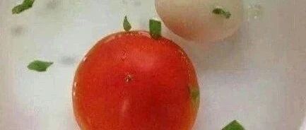 食堂的包子可以有多鸡蛋...