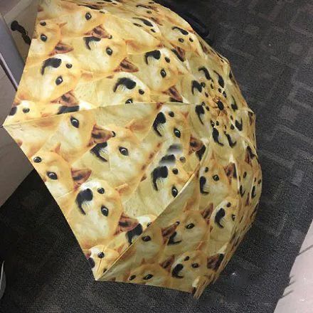 二狗子,看什么看,就说你呢!-微信头条网 二狗子,看什么看,就说你呢!