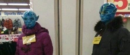 为什么狗子看到梳子会跑呢？