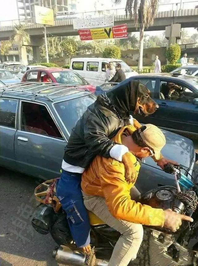 那位大神告诉我这是什么车?-微信头条网 那位大神告诉我这是什么车?