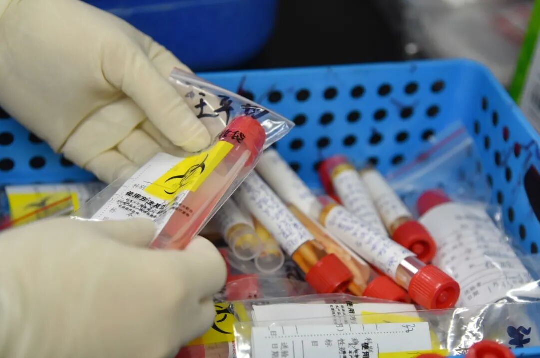 标本转运箱怎么消毒核酸的检测流程 ｜ 看完终于明白为什么要等那么久了_https://www.jmylbn.com_新闻资讯_第5张