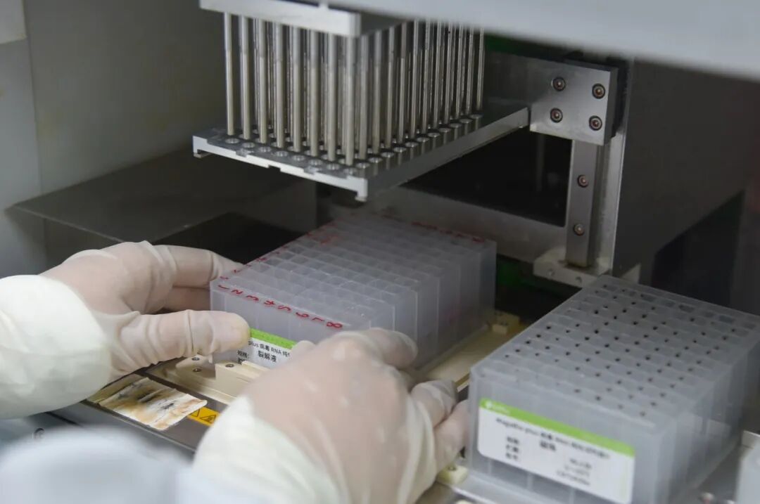 标本转运箱怎么消毒核酸的检测流程 ｜ 看完终于明白为什么要等那么久了_https://www.jmylbn.com_新闻资讯_第8张