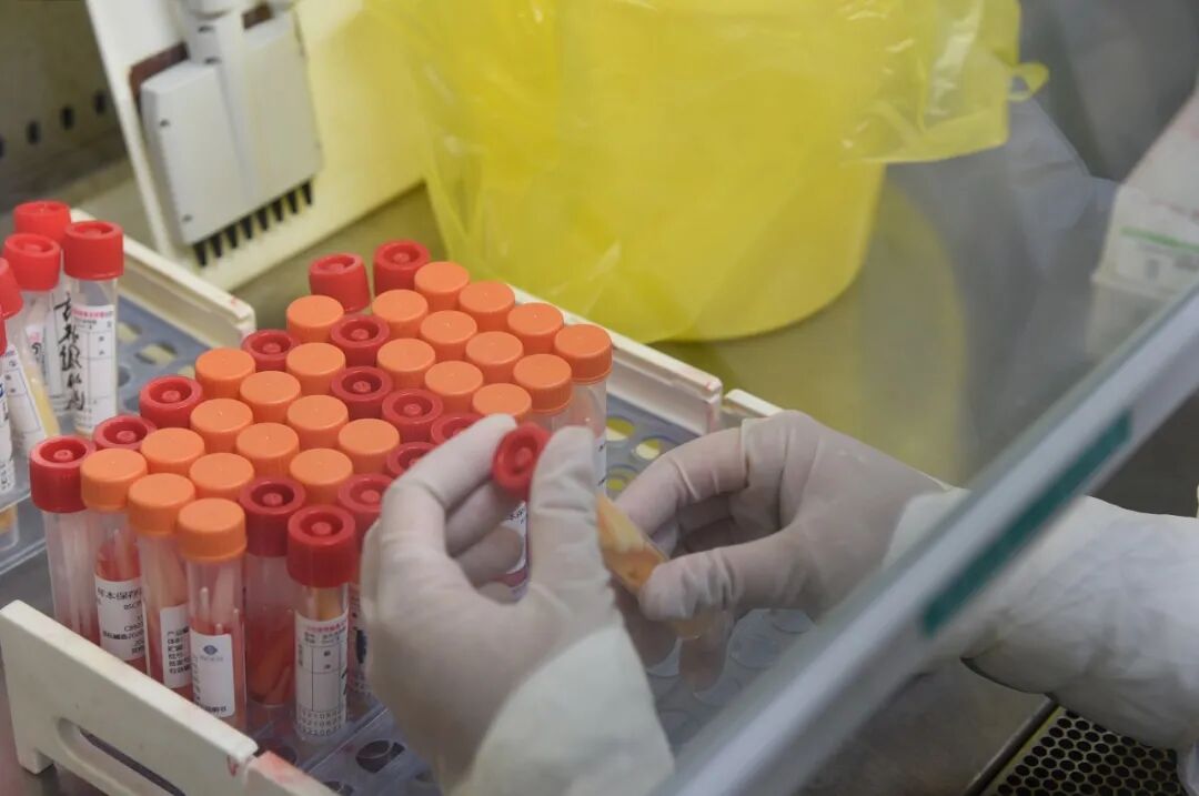 标本转运箱怎么消毒核酸的检测流程 ｜ 看完终于明白为什么要等那么久了_https://www.jmylbn.com_新闻资讯_第6张