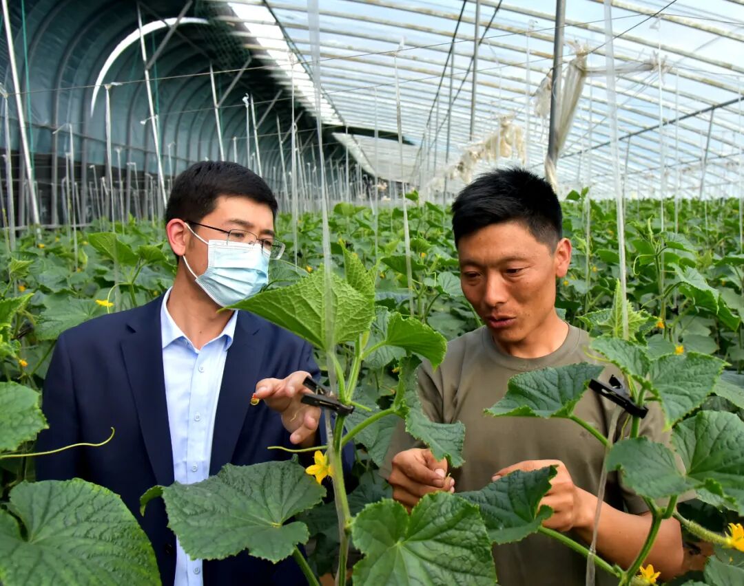 手机支付业务属于增值业务吗_支付业务手机产品是什么_手机支付产品是什么业务