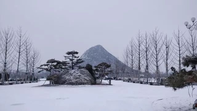 濟南市外國語學校高中部_濟南外國語學校高中部_濟南外國語學校高中國際部