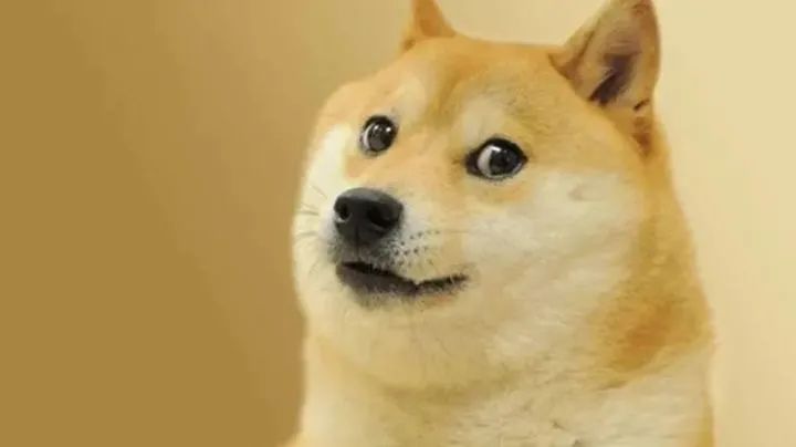 狗狗币是什么币种_什么是狗狗币_狗狗币是无限量发行的吗