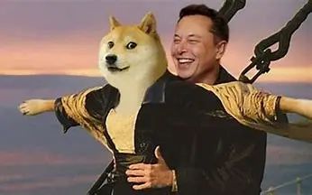 狗狗币是什么币种_狗狗币是无限量发行的吗_什么是狗狗币