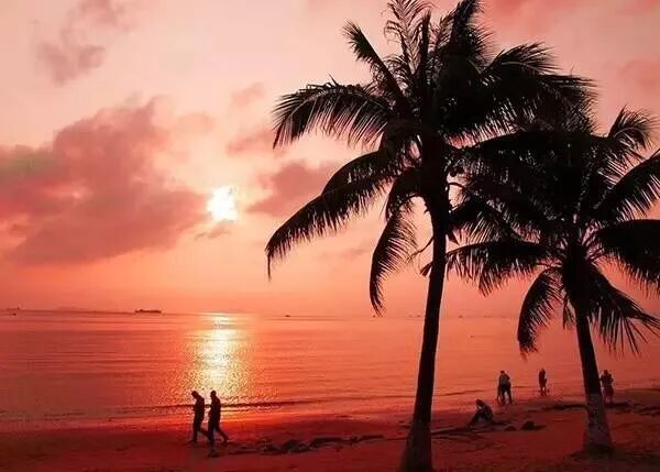 【台灣酒店聯盟選文2019】超適合情侶一起去的旅行目的地（國內篇） 旅行 第16張