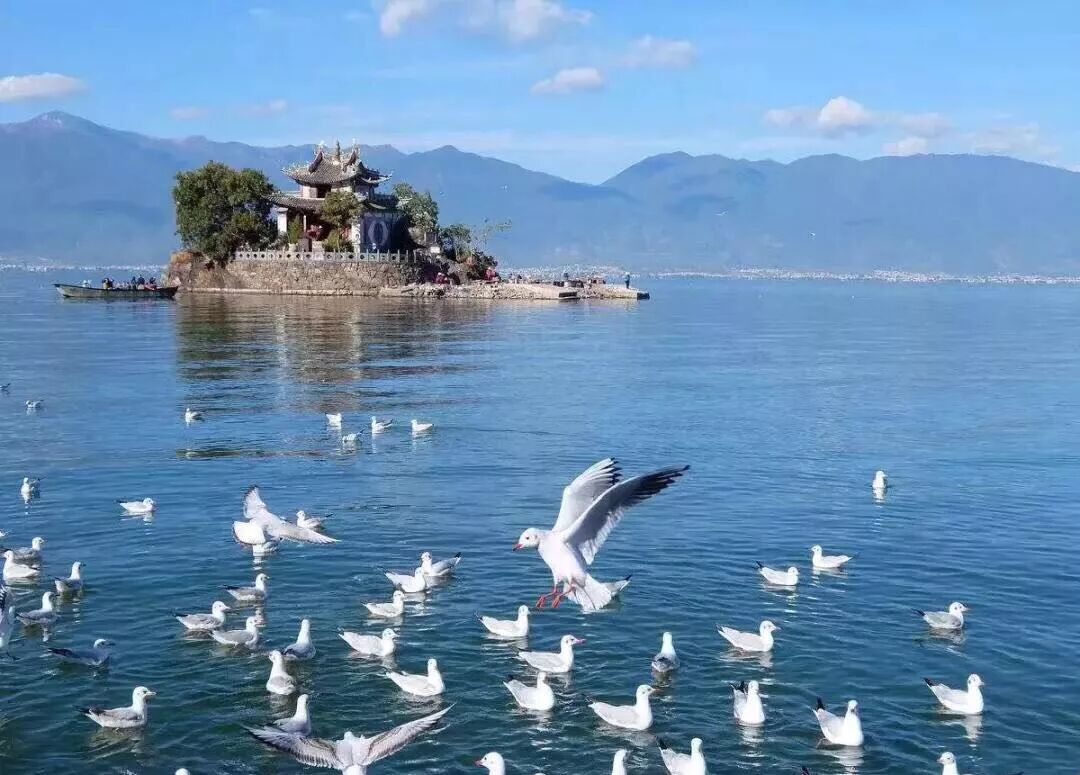 【台灣酒店聯盟選文2019】超適合情侶一起去的旅行目的地（國內篇） 旅行 第23張