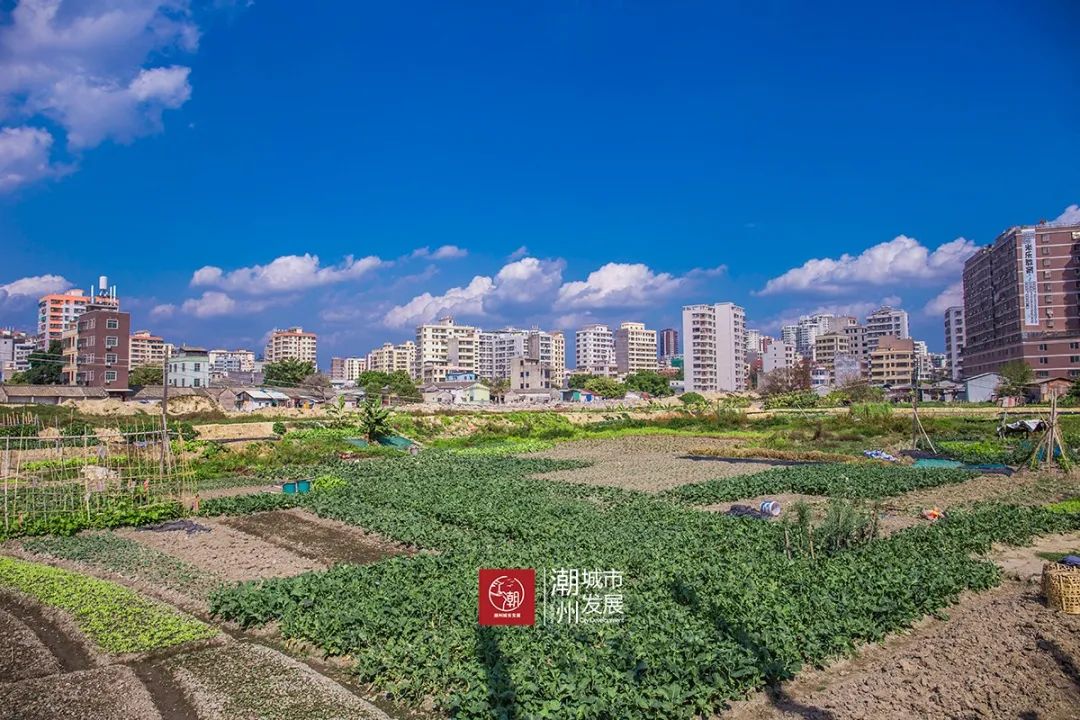 土地确权宅基地_宅基地确权就是个坑_确权的宅基地有什么好处