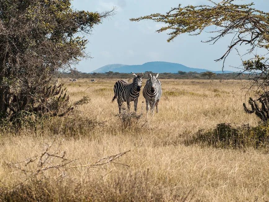 莱森光学：高光谱遥感在草原监测中的应用的图1