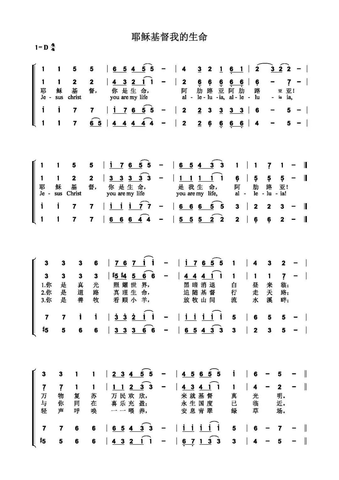 耶稣基督普世君王节 我们在爱中行走 微信公众号文章阅读 Wemp