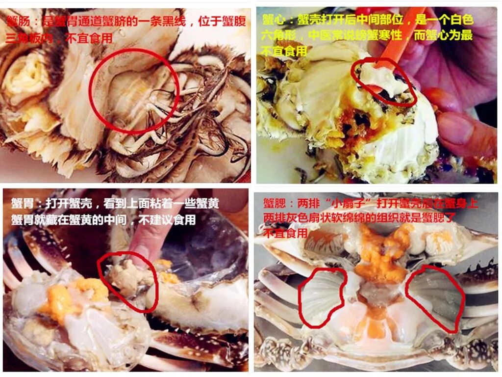 这些部位可不能吃哈!