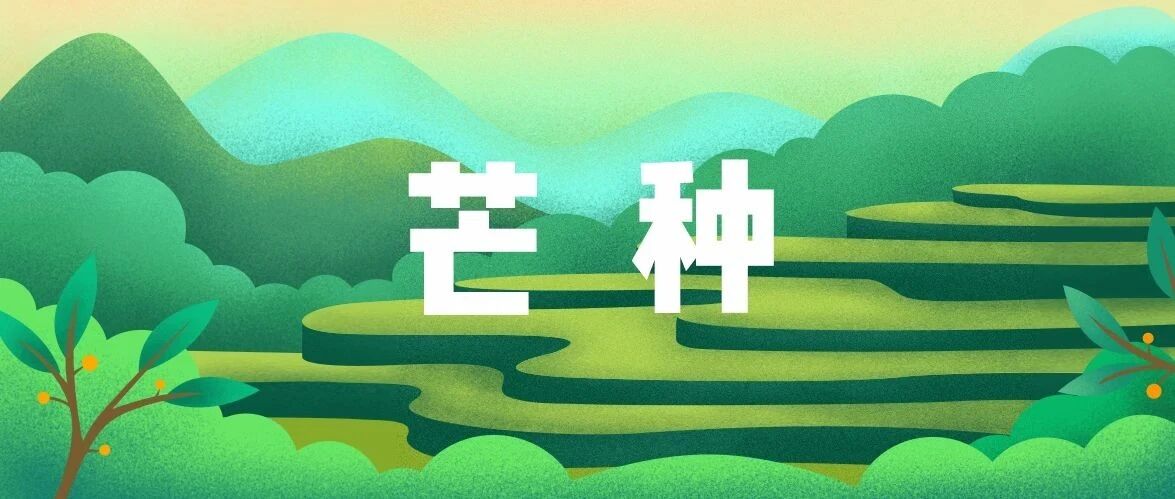 音乐时节 | 芒种