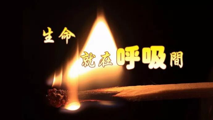 大安法师 净土法门因赅果海 果彻因源 念佛人说净土 微信公众号文章阅读 Wemp