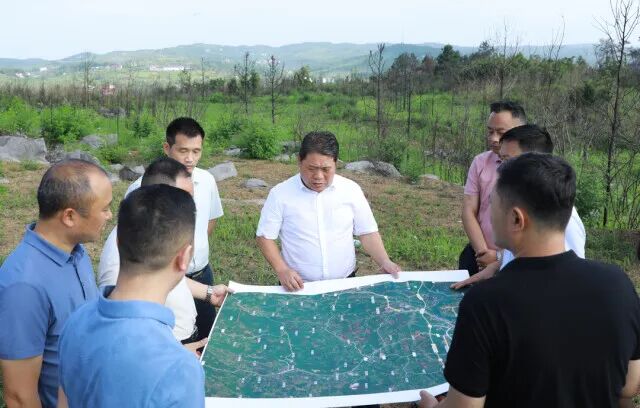 邵阳大祥区：精调研解难题优环境 当好服务企业“店小二”(图1)