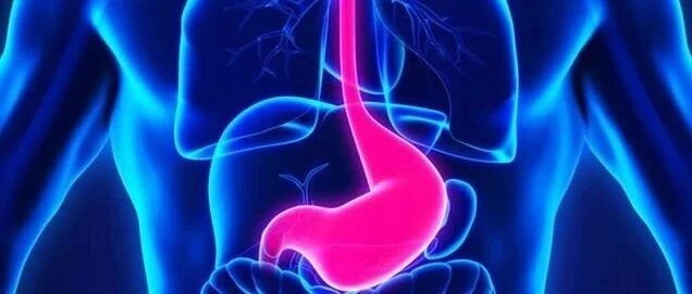 《慢性胃炎基层诊疗指南（2019年）》发布！ | 指南共识