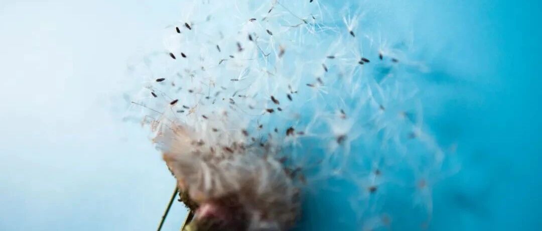 急性胰腺炎如何诊治？29条指南推荐意见一览！