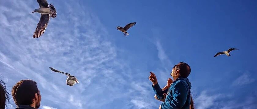 NEJM中国之声：急诊内镜vs早期内镜？首项评估高危患者内镜检查时机的随机研究