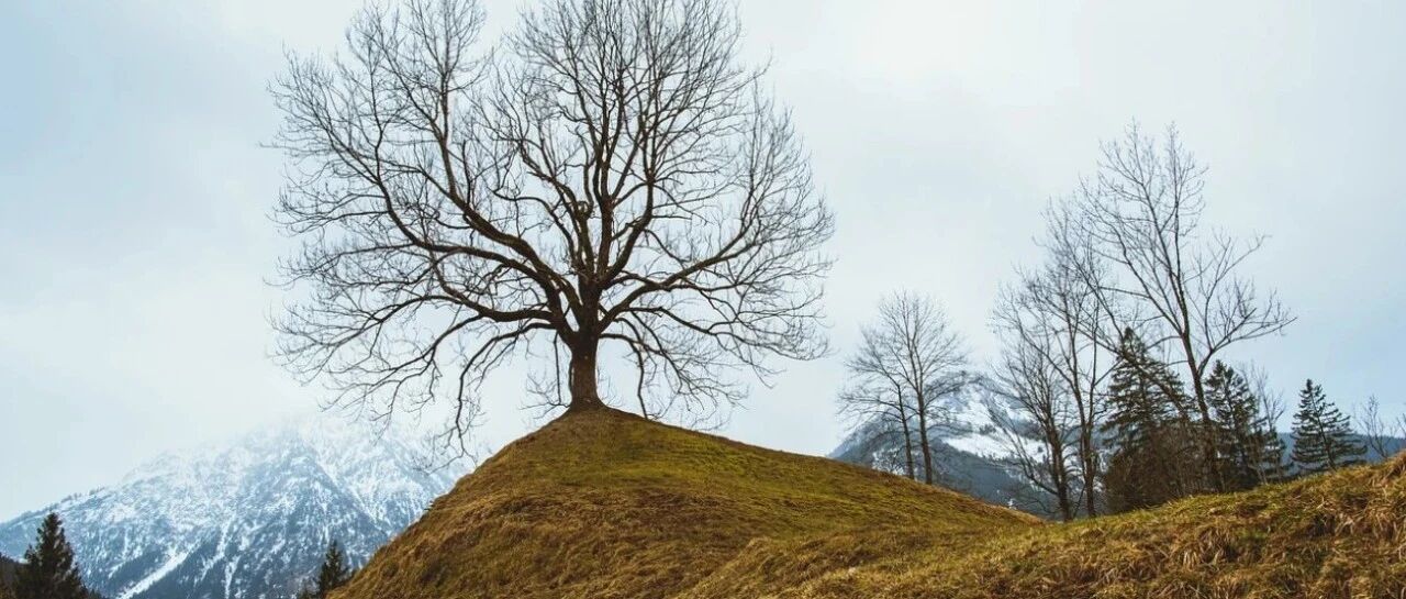 Gut最新荟萃分析：Hp根除治疗对胃癌的预防作用