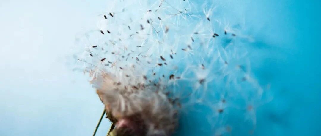 克罗恩病的自然疗法：饮食调整、行为改变和摄入补充剂