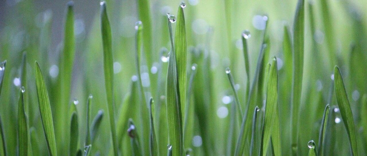 潜伏在暗处的“隐形杀手”：Barret食管 | 一文梳理