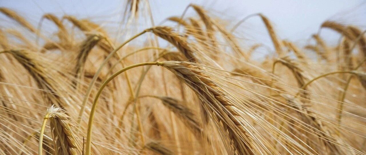 70%的早期胃癌没信号——要想早发现，得靠这一招