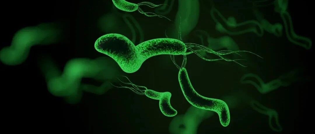 难治性幽门螺杆菌感染的治疗流程 | 一图总结